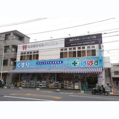 どらっぐぱぱす 根津店 距離:495m