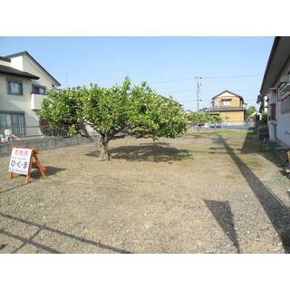 浜松市中央区 積志町 （積志駅 ） 住宅用地