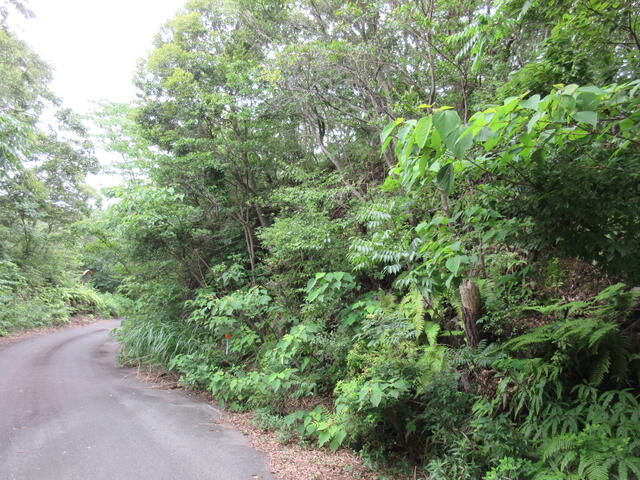 アットホーム 掛川市 山崎 袋井駅 その他用地 掛川市の土地 売地 宅地 分譲地など土地の購入情報