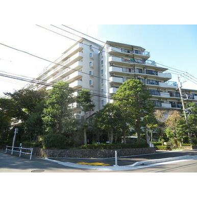 ホームズ コスモ相模原スカイエッセ 座間市 小田急小田原線 小田急相模原駅 徒歩15分の中古マンション 物件番号 0008616 0008216