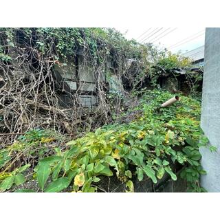 detached 不破郡垂井町府中