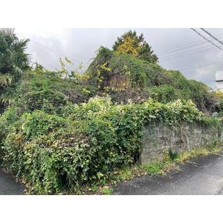detached 不破郡垂井町府中