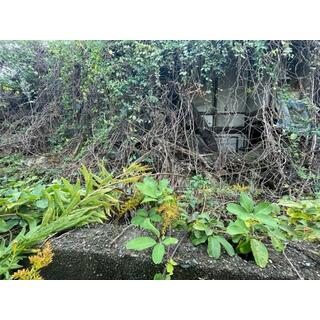 detached 不破郡垂井町府中