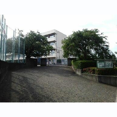 山崎中学校 距離:1,000m