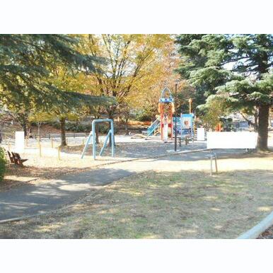 美しが丘公園 距離:1,100m