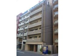 写真：