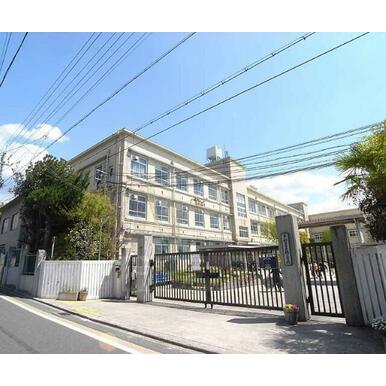 正親小学校 距離:240m