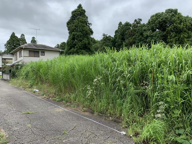 長生村の土地、お譲りします。 a1700000-20.jpg