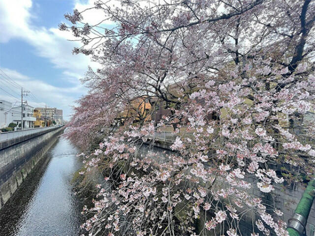 アットホーム 練馬区 桜台６丁目 氷川台駅 2階建 １ｌｄｋ 練馬区の中古一戸建て 提供元 大成有楽不動産販売 株 練馬センター 一軒家 家の購入