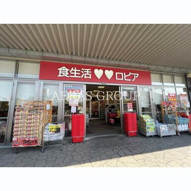 ロピア アクロスプラザ流山店 距離:908m