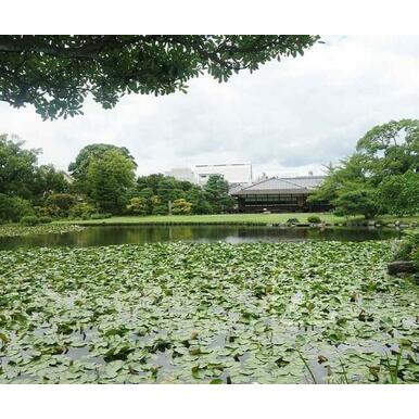 渉成園 距離：720m