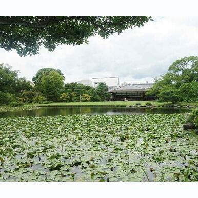 渉成園 距離:720m