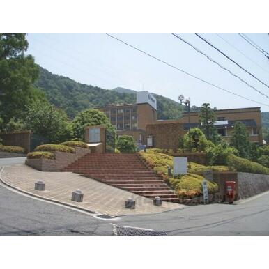 京都橘大学 距離：1,500m