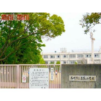 尼崎市立立花小学校 距離：100m