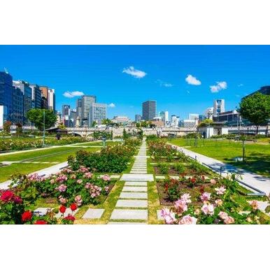 中之島公園 距離：900m