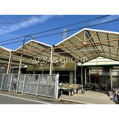 コンパルワコー八潮店 距離：291m
