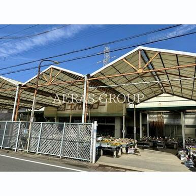 コンパルワコー八潮店 距離:291m