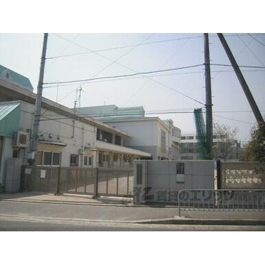 新町小学校 距離:900m