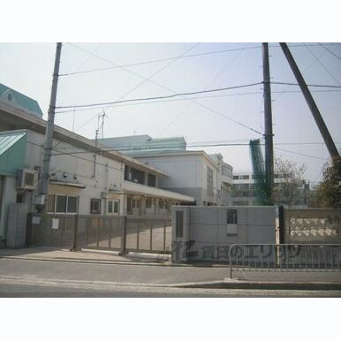 新町小学校 距離:900m