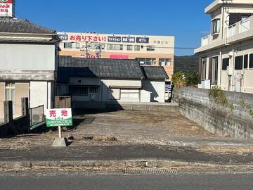 鹿児島県産）tam様② ハウス タンカン いちき串木野市産