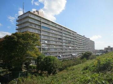 淀川 淀川河川公園 鳥飼上地区(大阪府)の情報｜ウォーカープラス