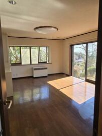 たかめ 1991年7弾ドラゴンボールカードダス 参考価格】ドラゴンボール