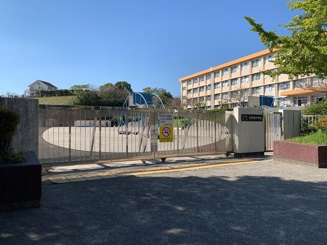 アットホーム 鹿児島市 吉野町 鹿児島駅 畑 農地用地 鹿児島市の土地 売地 宅地 分譲地など土地の購入情報