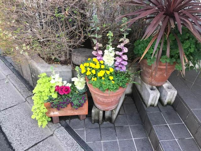 文京区 大塚３丁目 茗荷谷駅 3階 １ｋ 文京区の中古マンション アットホーム マンション購入の情報