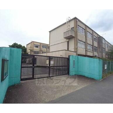 大宮小学校 距離：260m