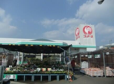 アットホーム 館山市 大神宮 館山駅 住宅用地 館山市の土地 売地 宅地 分譲地など土地の購入情報