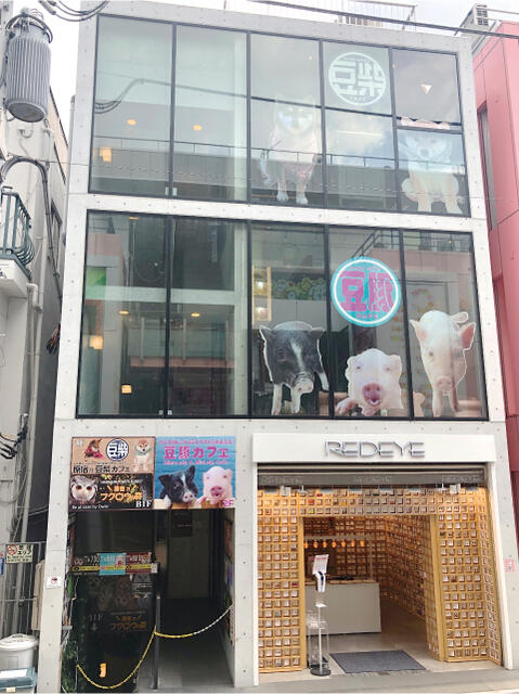 東京都 渋谷区 神宮前１丁目 原宿駅 の貸し店舗 賃貸 不動産情報はアットホーム