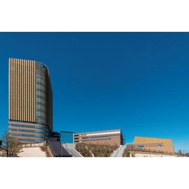 帝京大学八王子キャンパス 距離：582m