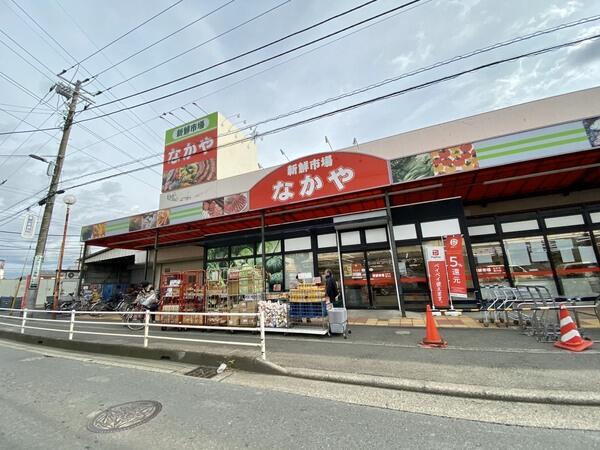 なかや 寒川