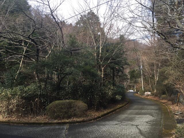 Sengokuhara (Gora Station), Hakone Town, Ashigarashimo District: Residential land &mdash; photo 3