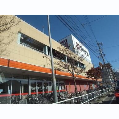ヤマナカ松原店 (スーパー) 距離:460m