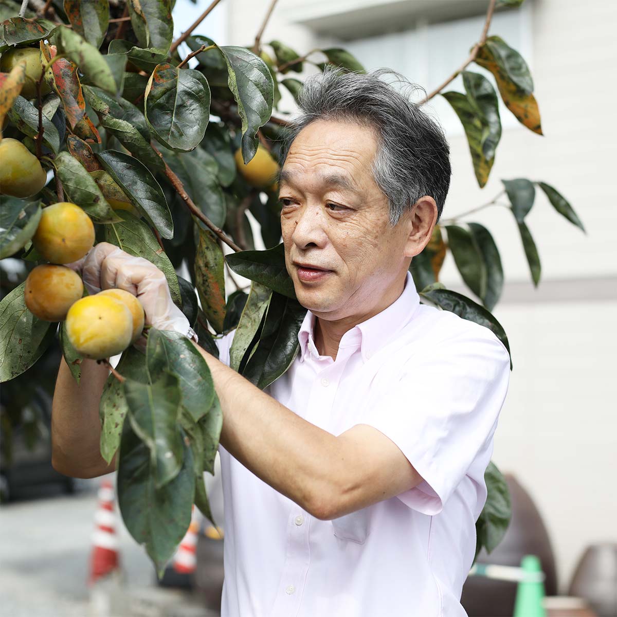 アットホーム】木下 喜八郎((有)平和商事 不動産部)｜賃貸・不動産情報