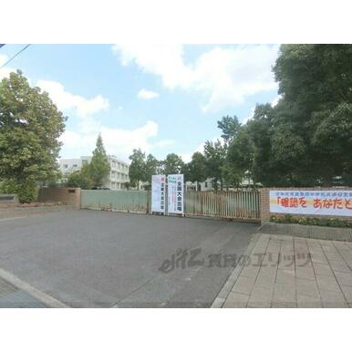 聖徳中学校 距離：1,600m