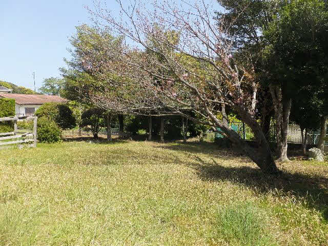 アットホーム 下田市 田牛 伊豆急下田駅 2階建 3sldk 下田市の中古一戸建て 提供元 有 伊豆レインボーコム 一軒家 家の購入 アットホーム 下田市 田牛 伊豆急下田駅 2階建 3sldk 下田市の中古一戸建て 提供元 有 伊豆レインボーコム 一軒家 家の購入
