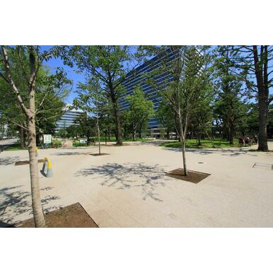 中野区立中野四季の森公園 距離：1,166m