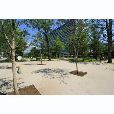 中野区立中野四季の森公園 距離:1,166m