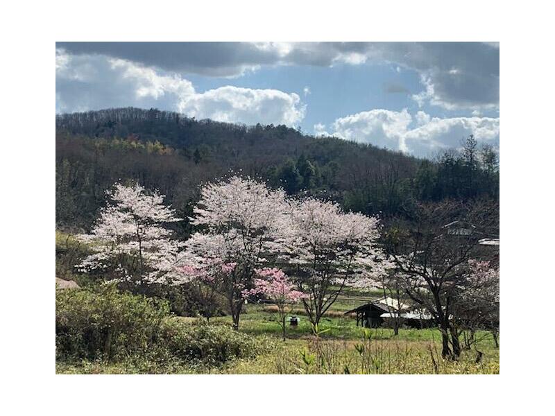 Shobara City, Itabashicho, 2-story building, 8K