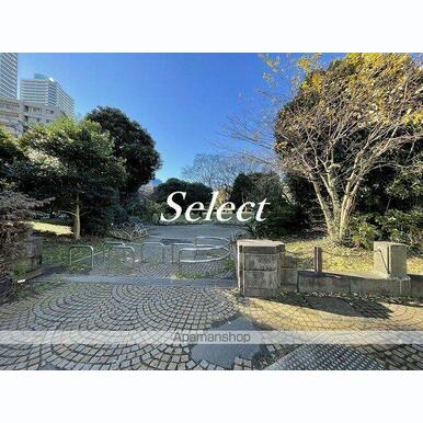 神奈川公園 距離:241m