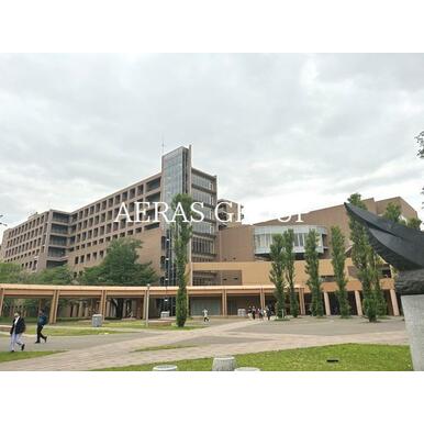 東京外国語大学 距離:674m