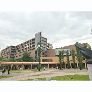 東京外国語大学 距離:674m