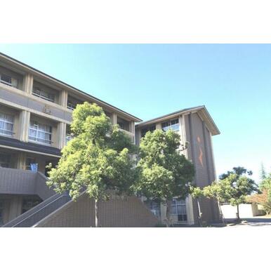 草津市立玉川中学校 距離:888m