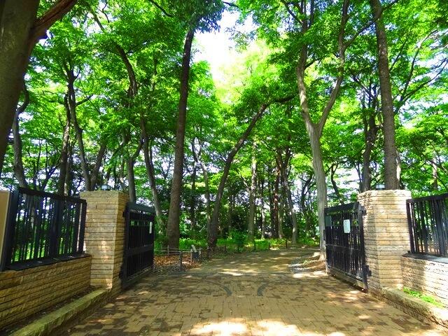 アットホーム 杉並区 下高井戸5丁目 上北沢駅 住宅用地 杉並区の土地 売地 宅地 分譲地など土地の購入情報 アットホーム 杉並区 下高井戸5丁目 上北沢駅 住宅用地 杉並区の土地 売地 宅地 分譲地など土地の購入情報