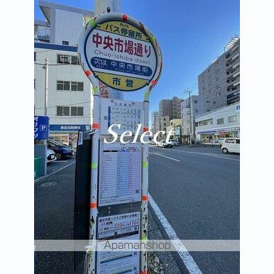 中央市場通り 距離:176m