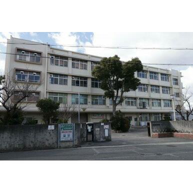 羽曳野市立恵我之荘小学校 距離:612m
