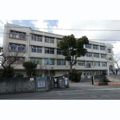 羽曳野市立恵我之荘小学校 距離:612m