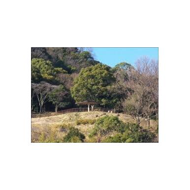 平野展望公園 距離：180m